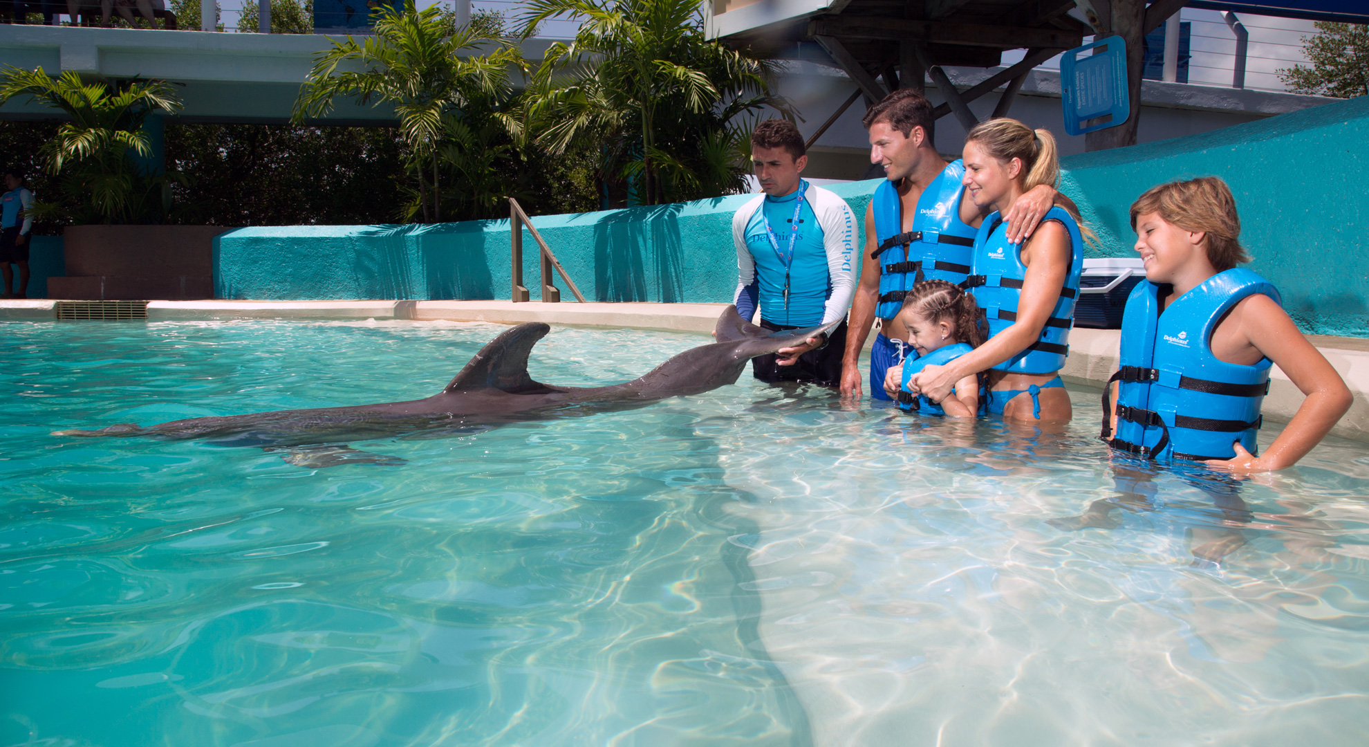 Delfines en Aquarium la Isla - Emysa Tours