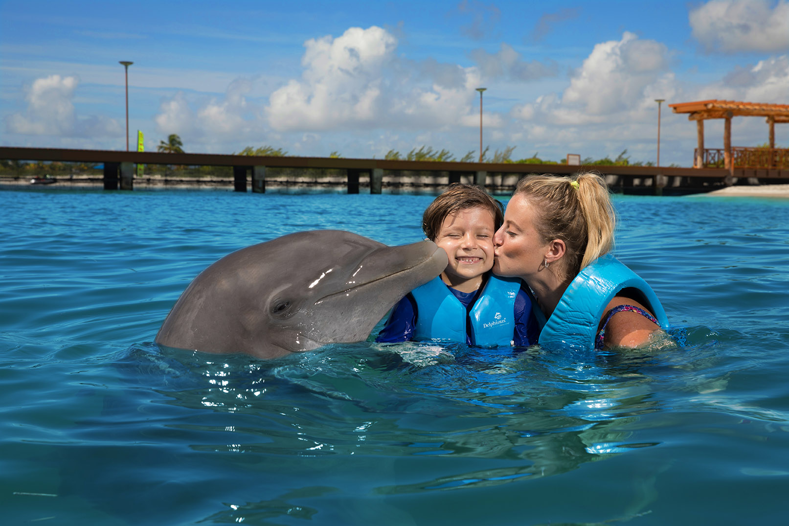 Nado con Delfines en Playa Mujeres - Emysa Tours