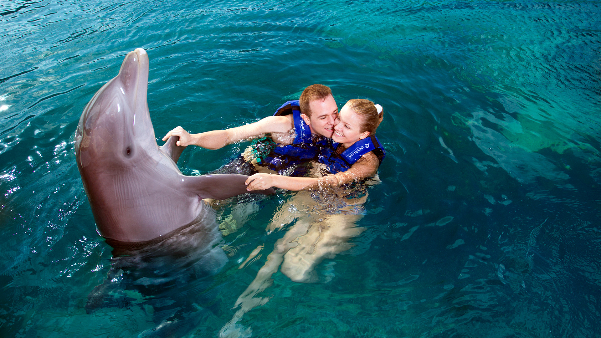 Nada con Delfines en Puerto Morelos - Emysa Tours