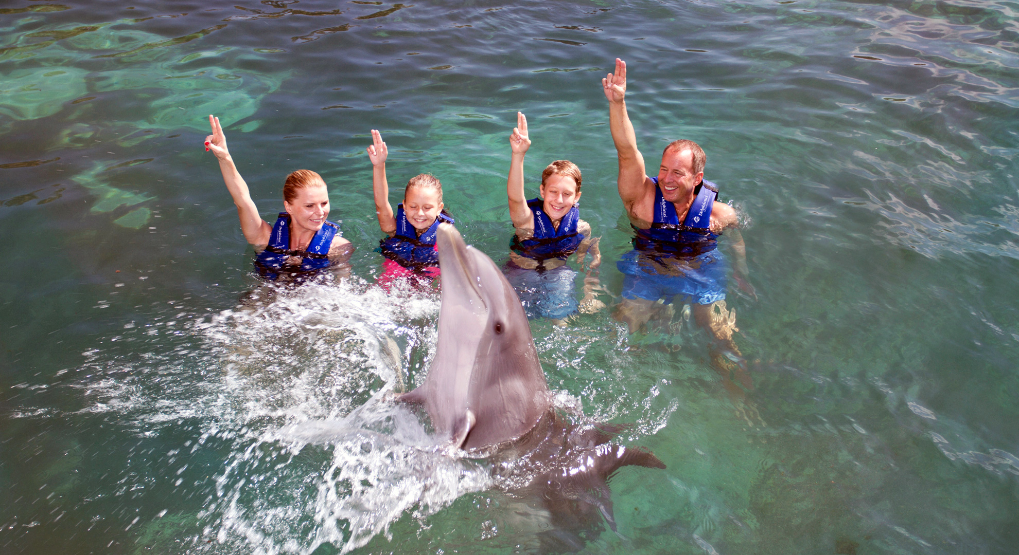 Nada con Delfines en Riviera Maya - Emysa Tours