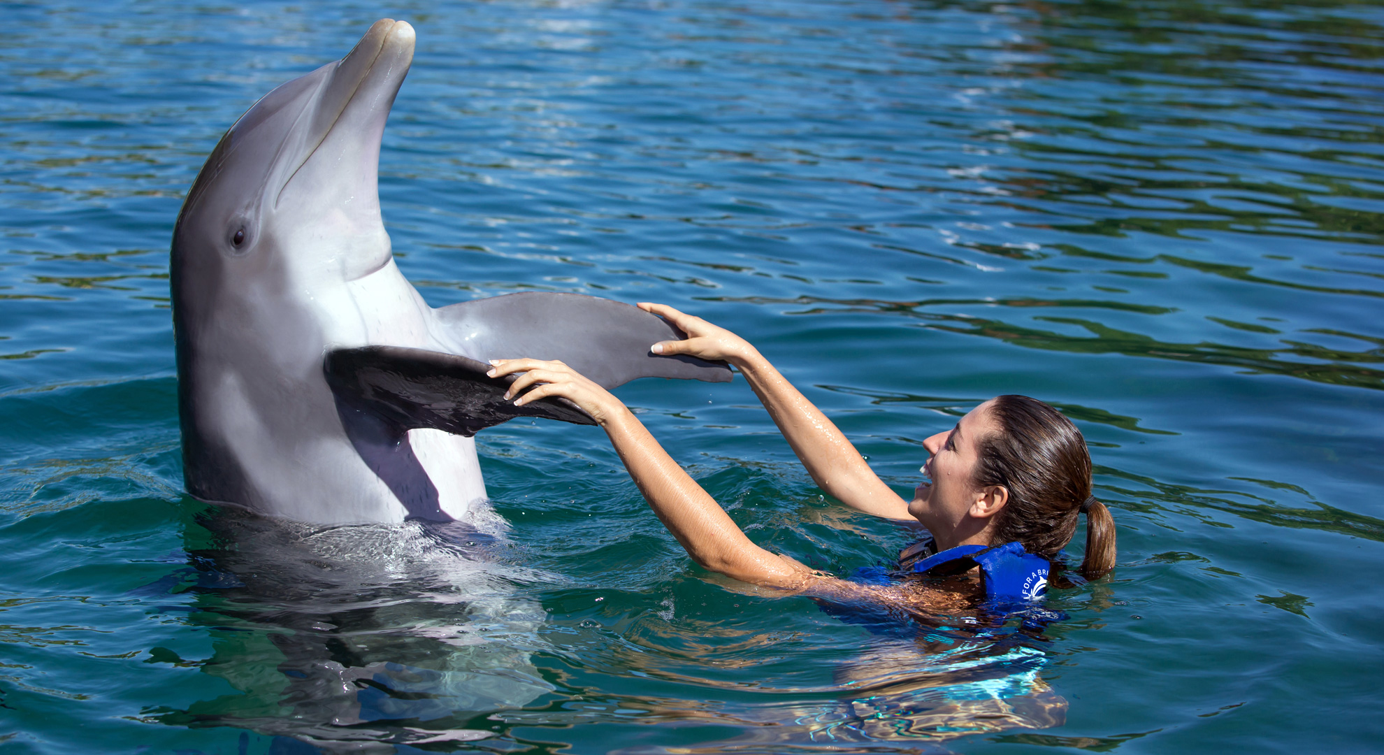 Nada con Delfines en Xcaret - Emysa Tours