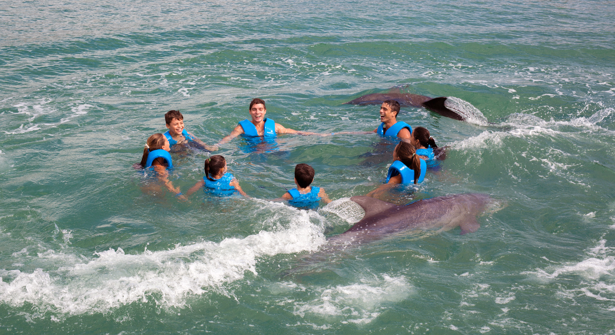 Nada con Delfines en Xel-há - Emysa Tours